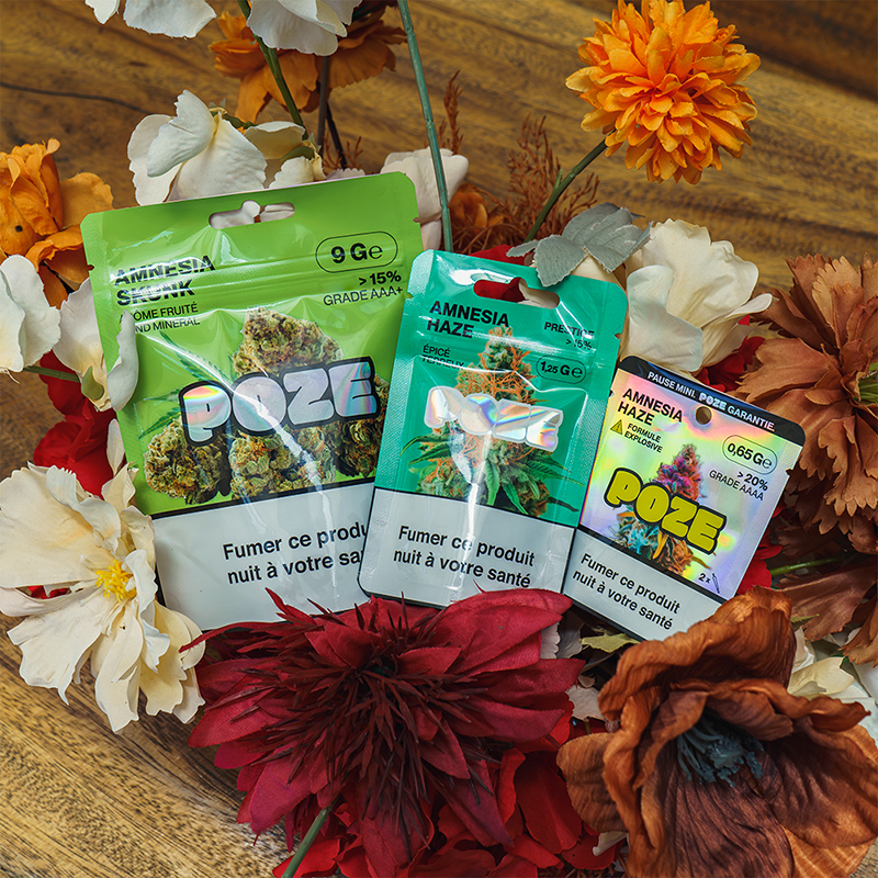 https://www.ypak-packaging.com/cbd-packaging/