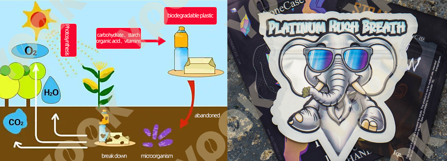 https://www.ypak-packaging.com/cbd-packaging/