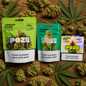 ChatGPT Image 2026年4月28日 14_42_22