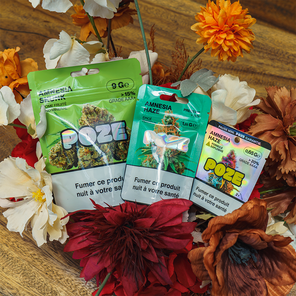 https://www.ypak-packaging.com/cbd-packaging/
