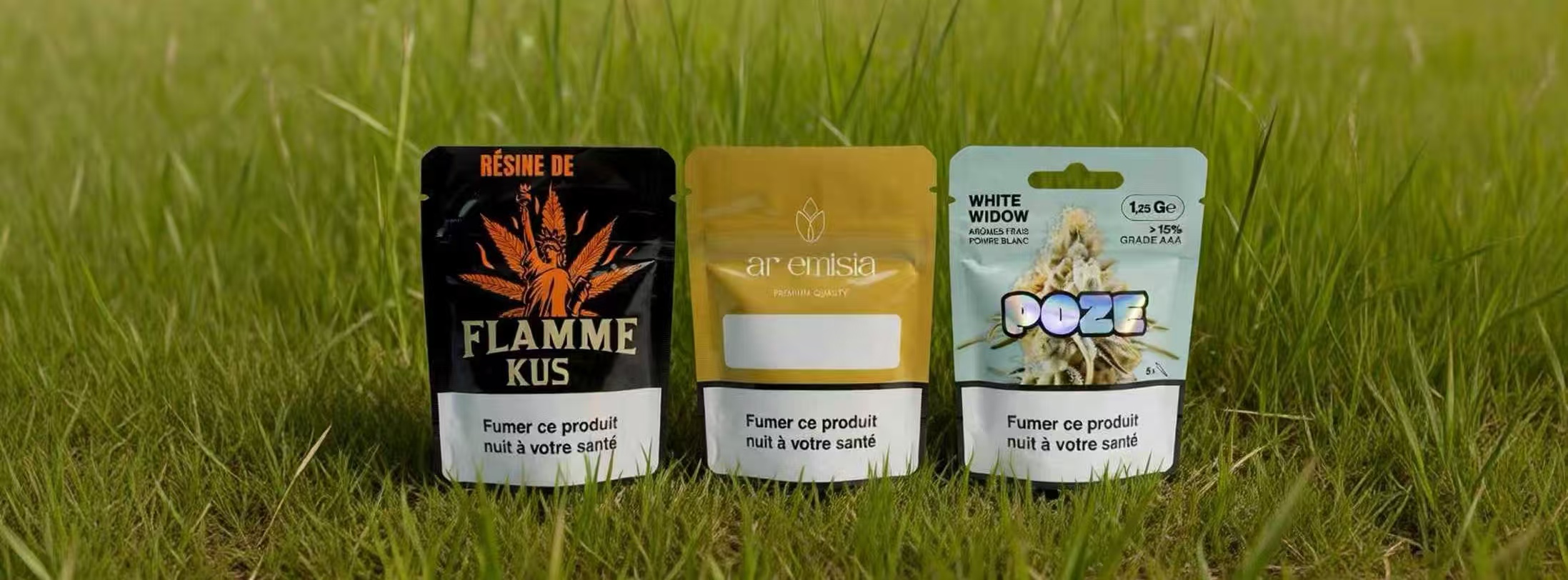 微信图片_20251224100831_195_19