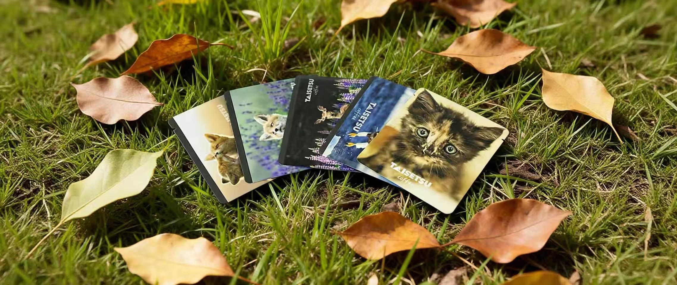 微信图片_20251224162825_227_19