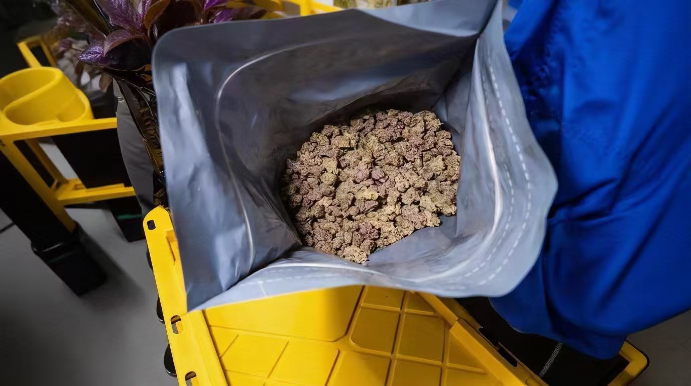 微信图片_20251229122110_256_19