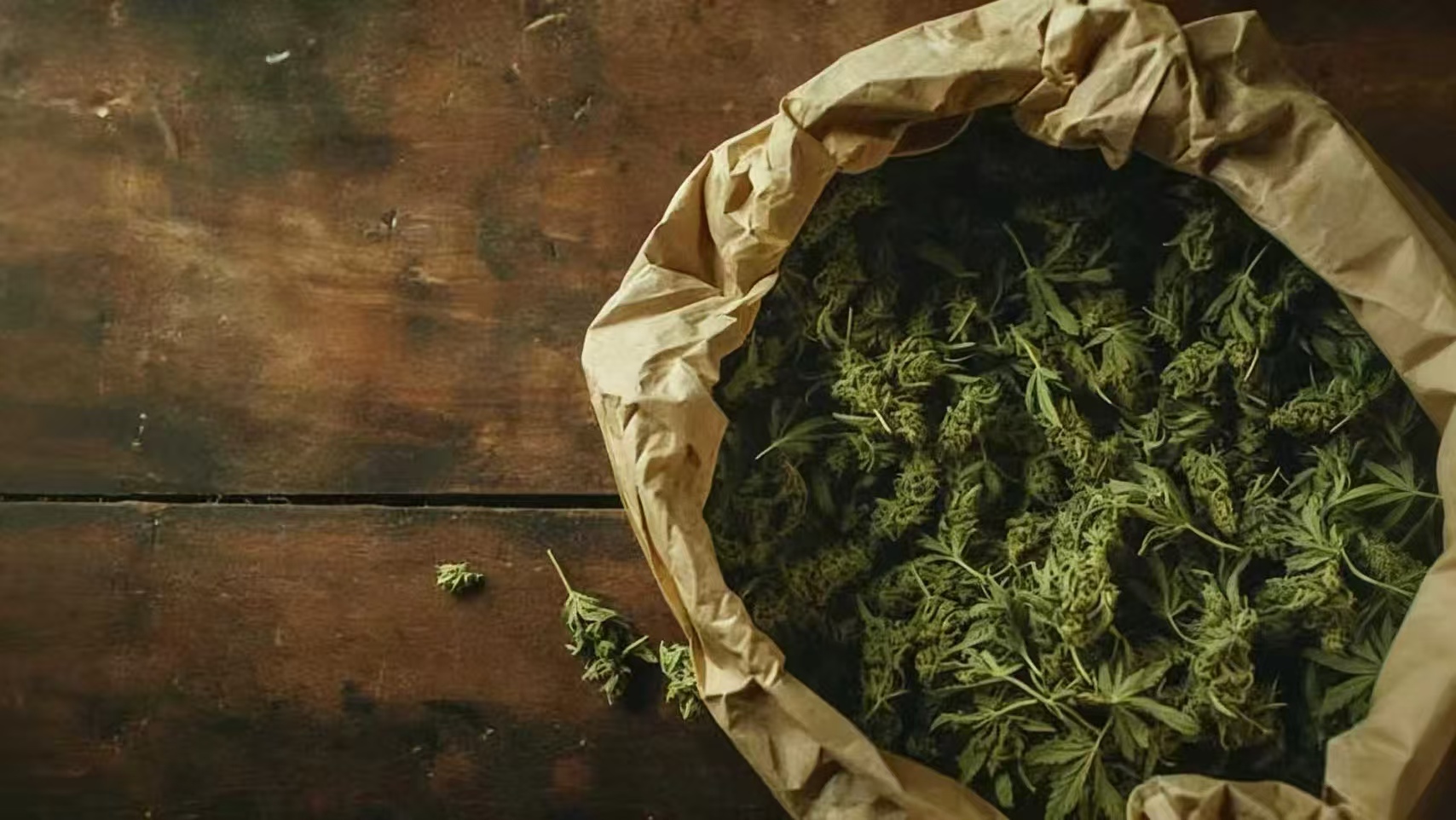 微信图片_20251230094725_264_19